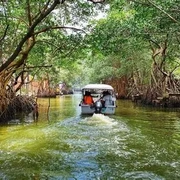 Ilha da Gigoia