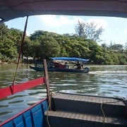 Ilha da Gigoia
